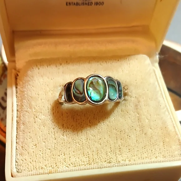 VTG Nevada Silver Mine Sterling Abalone Ring - Picture 6 of 8
